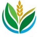 ترویج دات کام
