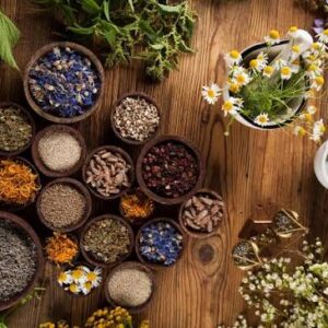 تولید کننده بذر گیاهان دارویی