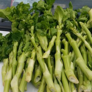 پرورش کرفس کوهی